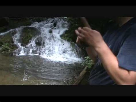 The catawba river in gaston county, north carolina, is one of the top paddling destinations in the region. Catawba Falls Family Camping Trip Trout Fishing Catawba ...