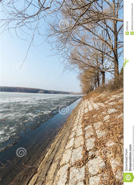 Early Spring Just Thawed Lake Shore Stock Photo Image Of Trees