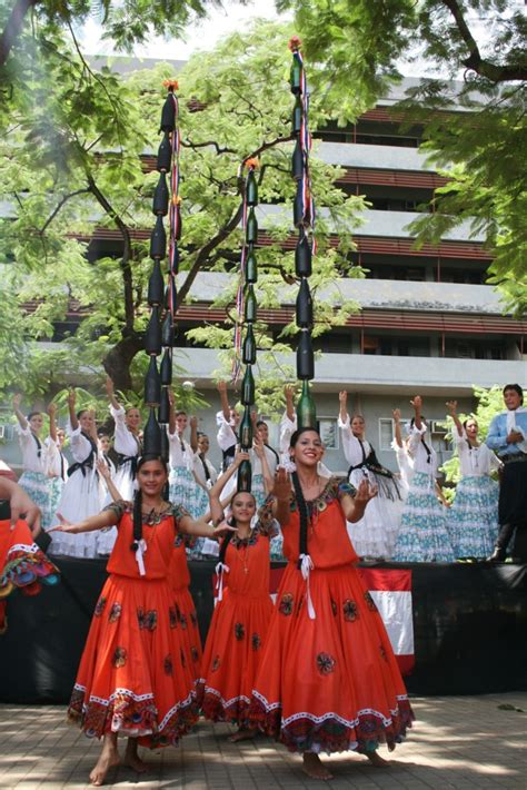 Demasiadas Noches Baile De La Botella Paraguay