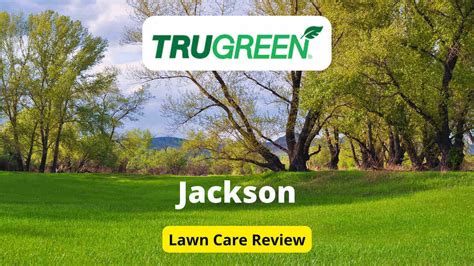 Trugreen Lawn Care In Jackson Review Lawnstarter