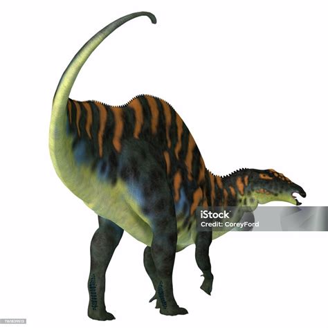 Stock Fotografie Dinosaurus Ouranosaurus Ocas Stáhnout Obrázek Nyní