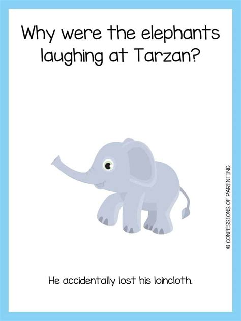 115 Funny Elephant Jokes That Make You Lol