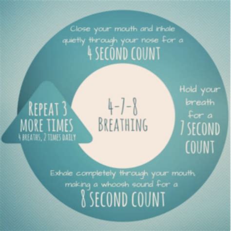 4 7 8 Breathing Technique — Root And Stem