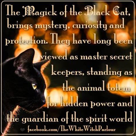 If you are looking for spiritual black cat names, look no further, we've got you covered. The Magick of the Black Cat - Witches Of The Craft®