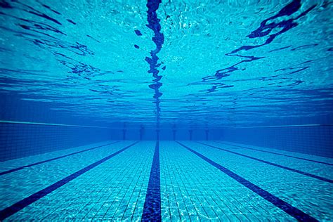 Best Swimming Pool Stock Photos Pictures And Royalty Free Images Istock