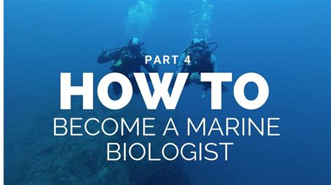 How To Become A Marine Biologist Part 4 Youtube