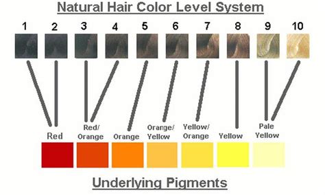 Chart Of Underlying Pigments