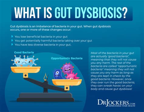 Dysbiosis What Is It And How To Heal Your Microbiome
