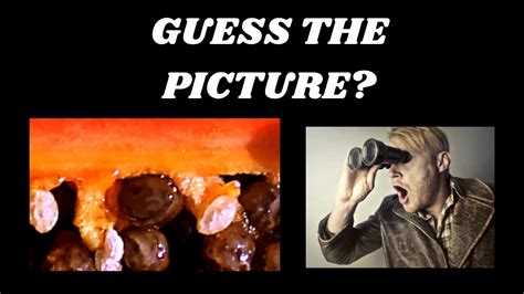 Guess The Picture Can You Guess What Is It Guess The Picture Challenge Part 1 Youtube