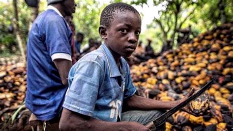 Nestlé Admits Using Slaves While Fighting African Child Labor Lawsuit