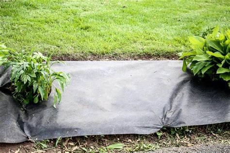 Free delivery and returns on ebay plus items for plus members. How To Install Garden Lights So They're Straight Every ...