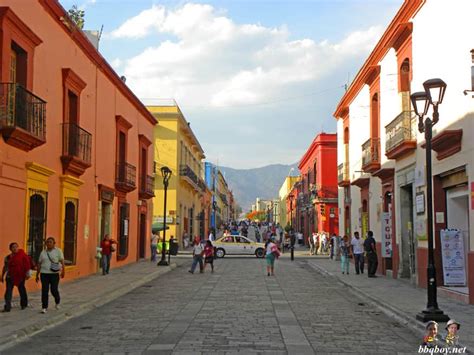 The hills had big ones like this dime a dozen. Things to do and eat in Oaxaca, Mexico. And the Poverty issue.