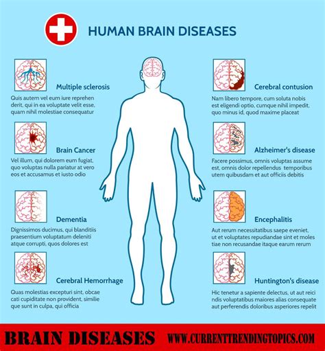 Brain Diseases Common Causes Symptoms And Treatments In 2020 Brain