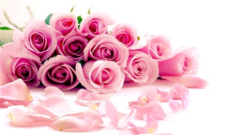 Pink Roses Wallpapers Wallpaper High Definition High Quality