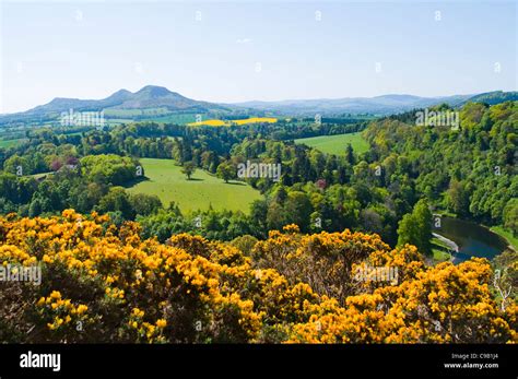 Eildon Hills From Scotts View In The Scottish Borders With River Tweed