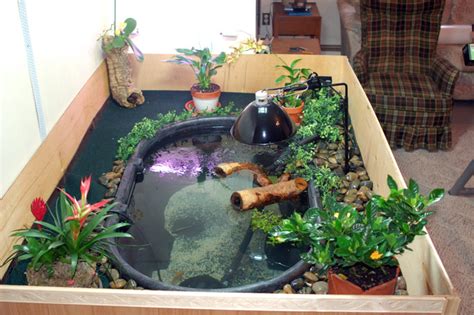 Maybe you would like to learn more about one of these? Indoor Turtle Pond - Habitats and Equipment - Turtle Forum