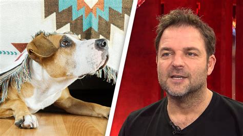 Martin rûtter sprachkurs hund, körpersprache verstehen, richtig kommunizieren. Beruhigungs-Tipp von Martin Rütter:: Hunde an Silvester ...