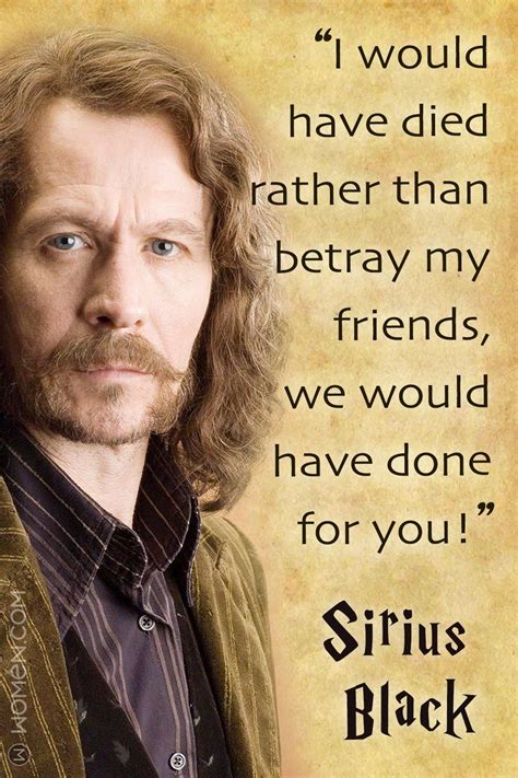 These 15 Sirius Black Quotes Will Inspire The Padfoot In You Sirius