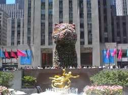 Presented by gagosian gallery and organized by public art fund and tishman speyer, the monumental plant soars 37 feet above the public. Rockefeller Center, the puppy