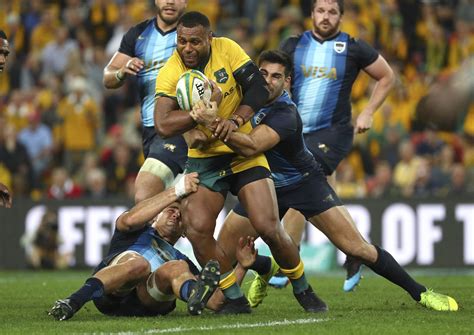 In 1st match against australia, the indian team loses the game with a vast wicket margin because aus won the game without losing any wicket, and. Australia vs. New Zealand LIVE STREAM (8/10/19): How to watch The Rugby Championship online ...