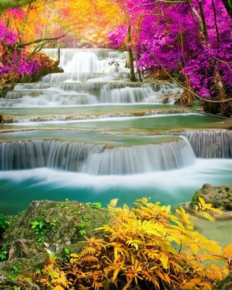 Waterfall In Colorful Forest 640 X 800 Preview Wallpaper Plus Photo