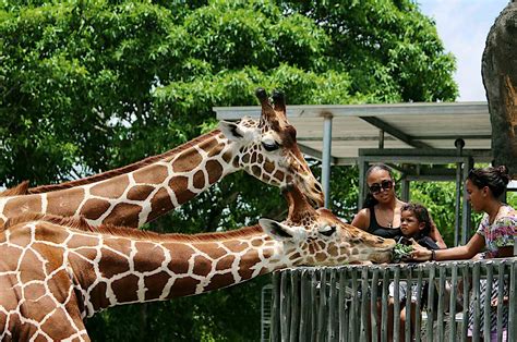 Maybe you would like to learn more about one of these? What Locals Love: Things To Do In Columbia, South Carolina