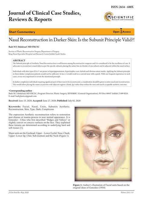 PDF Nasal Reconstruction In Darker Skin Is The Subunit Principle Valid