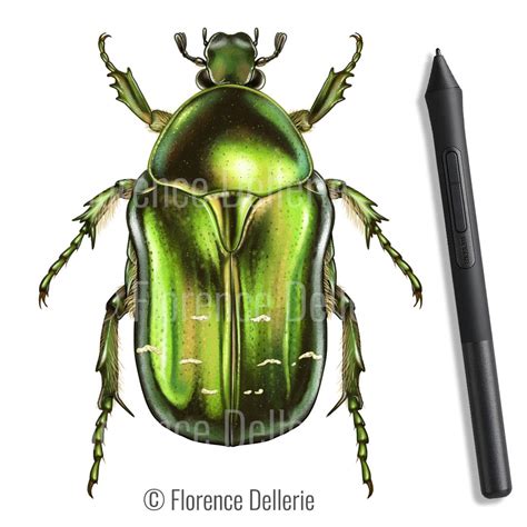 Florence Dellerie On Linkedin Sciart Illustrationscientifique