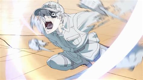 White/red, wbc squad * a potato that unapologetically rambles under read. White Blood Cell Cells at Work! Hataraku Saibou 4K #19999