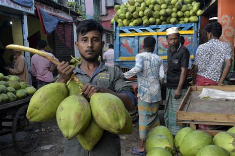 Asia Album Tender Coconuts Welcomed In Dhakas Marketplace Xinhua