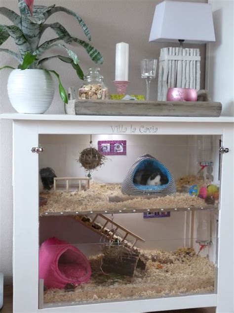 A wide variety of gerbils cage options are available to. DIY or homemade gerbil cage - Over 5 Top Life-Saving Tips and Photo Ideas