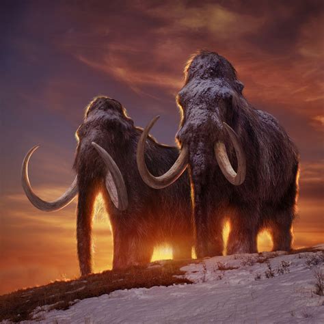 Epic Woolly Mammoth In Prehistoric World