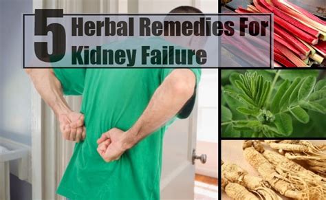 5 Best Herbal Remedies For Kidney Failure ~ Mzizi Mkavu