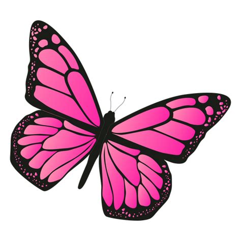 Mariposa Rosa Png Png Image Collection