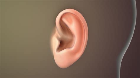 Ear Function And Related Conditions Scientific Animations