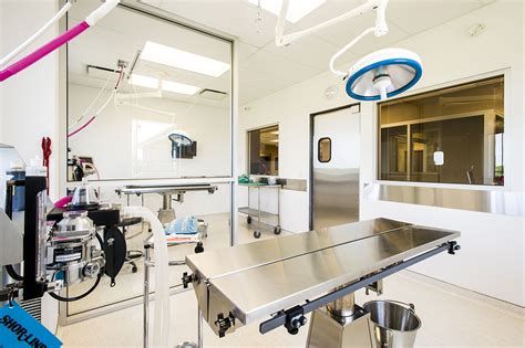 Our modern and inviting hospital boasts superb veterinarians and caring support staff that are dedicated to our patients, clients, and. Veterinary Hospital Surgery Room