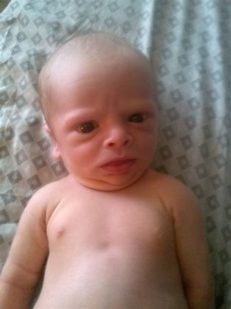 Pin By Dorothy Brooks On Expressions Funny Baby Faces Funny Babies