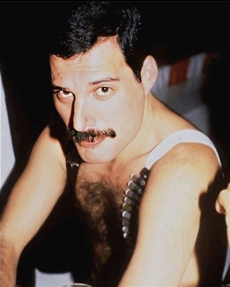 Queen freddie mercury freddie mercury mustache freddie mercury quotes ozzy osbourne fred mercury rock bands freddie mercuri foto face we will rock you. Pin on Freddie mercury