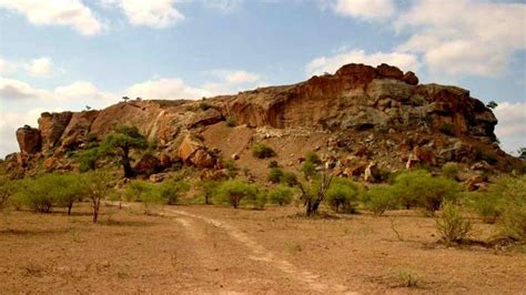 Western Limpopo Valley Mapungubwe National Park Gobirding