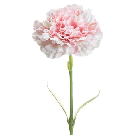 Pale Pink Single Stemmed Carnation Sopha