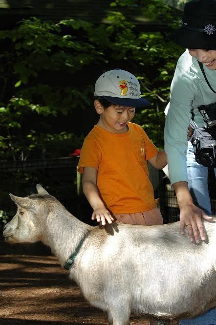 Kids toy corner loves animals and visiting zoo and animal farms and petting zoo. Duck, Duck, Donkey: 13 Farms and Petting Zoos for ...