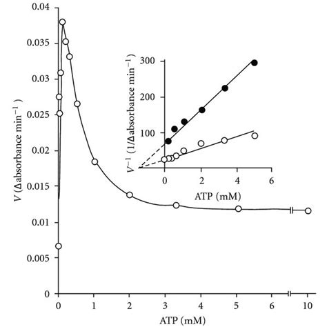 Effect Of Mg2 And Atp Concentrations On The Rate Of Pfk Catalyzed Download Scientific Diagram