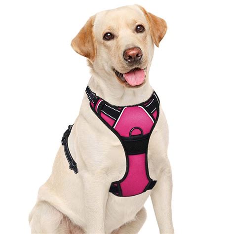 Best Dog Harness Uk Choosing A Harness Smart Bark