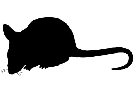 Free Rat Silhouette Png Download Free Rat Silhouette Png Png Images