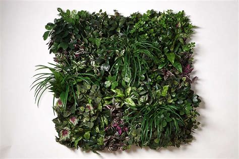 Panel Styles No 8 Artificial Green Wall Wall Systems Home Business