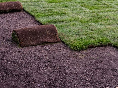 For how long i should water my new sod lawn? Sod Laying Instructions - How To Lay Sod & Care For New Sod