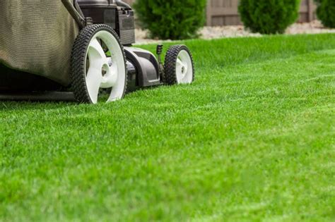 How to hire a lawn mowing service. How Much Does TruGreen Actually Cost? All Plans Compared