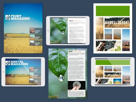 Free Online Magazine Maker Design Your Own Magazine Lucidpress