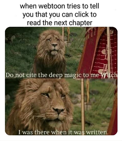 The Best Narnia Memes Memedroid
