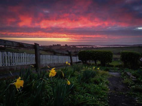 Spring Sunrise In Ireland Photograph By James Truett Fine Art America